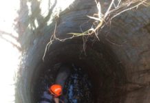 Bombeiros resgatam boi que caiu em poço com 10 metros de profundidade