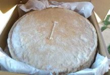 Lei que define produção e venda de queijo artesanal é sancionada