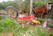 Homem em charrete morre após acidente com caminhonete em vicinal de Bastos