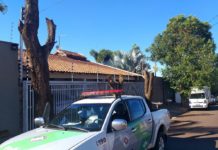 Poda drástica de árvores na calçada de residência rende multa de R$ 1,5 mil a morador de Presidente Prudente