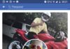 Motociclista morre em acidente na SP-294 em Lucélia