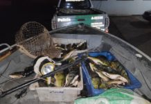 Homens são multados em R$ 2,2 mil por pesca irregular com arpão no Rio Paraná