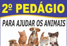 2º Pedágio para ajudar os animais acontece neste sábado