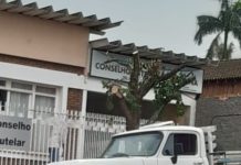 Poda drástica de árvore revolta munícipes