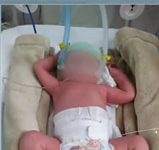 Bebê é encontrada por policiais em caixa de sapato, em Toledo