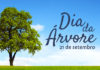 O Dia da Árvore é comemorado no dia 21 de Setembro