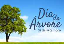 O Dia da Árvore é comemorado no dia 21 de Setembro