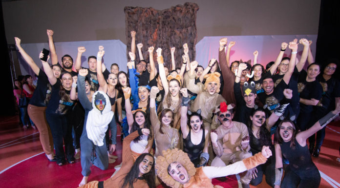 O REI LEÃO: Anglo Cultura 2019 encanta público