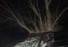 Gerente de Supermercado de Panorama fica levemente ferido ao ser atropelado por motorista bêbado quando participava de uma Cavalgada