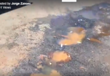 Buraco abre novamente, em menos de 48 horas após reparo