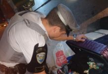 Polícia Rodoviária apreende quase 17 kg de maconha e prende mulher em flagrante por tráfico