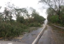 Chuva e vento causam estragos em diversos pontos de Adamantina