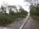 Chuva e vento causam estragos em diversos pontos de Adamantina