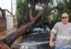 Árvore cai sobre carro com motorista em seu em interior na cidade de Junqueirópolis