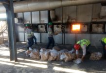 Policia Civil incinera cerca de 260 quilos de drogas apreendidas em Dracena