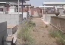 Cemitério Municipal de Dracena tem muito mato. Dia de Finados está chegando