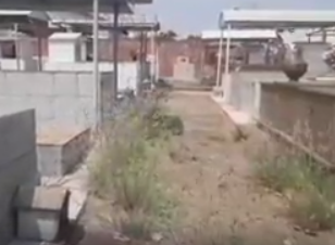 Cemitério Municipal de Dracena tem muito mato. Dia de Finados está chegando