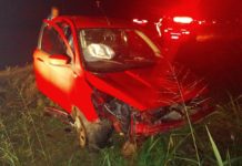 Rapaz fica ferido ao tentar desviar de tamanduá-bandeira, bater em barranco e capotar veículo na SP-294