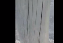 RECLAMAÇÃO DA POPULAÇÃO: Postes de madeira estão prestes a cair e falta energia