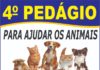 4º Pedágio para ajudar animais acontece amanhã (9)