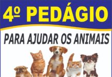 4º Pedágio para ajudar animais acontece amanhã (9)