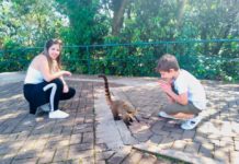 Tupiense representa Tupi Paulista no Encontro de Parlamentares e Ativistas da Causa Animal em Botucatu