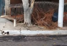 Morador do bairro Virgilio Fioravante reclama de recolhimento de galhos