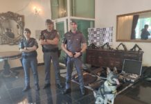 Policiais Militares do Canil Setorial do 25º BPM/I participam de Congresso em São Paulo