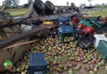 Caminhão com carga de manga tomba na SP-294 e motorista fica ferido