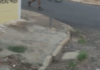 Reclamação a População: Pessoa limpa calçada de terreno e joga mato na rua