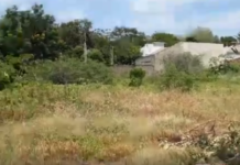 Reclamação da População: Área verde do Residencial Pitangueiras precisa de limpeza urgente.