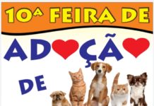 10ª Feira de Adoção de Animais acontece amanhã (27)