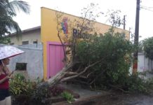 Chuva no período da tarde derruba árvore em Dracena e provoca alagamentos