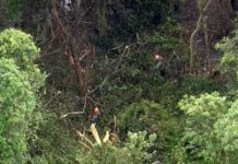 Avião de pequeno porte cai na Serra da Cantareira em SP