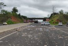 Colisão traseira envolve dois caminhões na Rodovia Assis Chateaubriand
