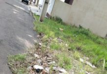 Morador do bairro Bela Vista reclama de terreno com muito mato