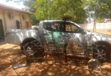 Morador de Panorama recebe multa de R$ 6 mil por manter animais silvestres em cativeiro