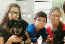 Polícia de MS apura afogamento de trigêmeos no Rio Paraná; 2 morrem e adolescente segue desaparecida