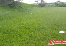 Reclamação da População: Campo de Futebol médio do bairro Virgilio Fioravante precisa de poda na grama