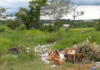 Reclamação da População: Velho problema da falta de respeito. Moradores tiram lixo de sua casa e despejam praticamente na porta de outros, lixão está sendo formado.
