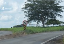 Rodovia Comte. João Ribeiro de Barros, SP-294 está com mato alto em diversos locais