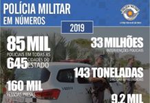 Polícia Militar: Confira os números obtidos entre Janeiro a Dezembro de 2019.