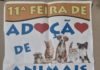 11ª Feira de Adoção de Animais
