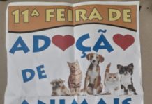 11ª Feira de Adoção de Animais