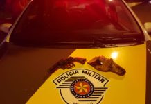 Polícia Rodoviária prende homem por porte ilegal de armas e munições na SP-294