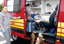 Ocorrência atendida pelos Bombeiros de Osvaldo Cruz vira destaque nas redes sociais da corporação