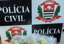 Polícia Civil cumpre mandado de busca e apreensão e faz flagrante por tráfico de drogas e furto em Dracena