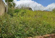 Reclamação da População: Terreno com muito mato no jardim Jussara