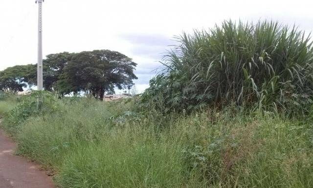 Casal oferece trabalho para capinação de terrenos