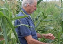 Festa do Milho em prol da Pousada Bom Samaritano tem data definida para início